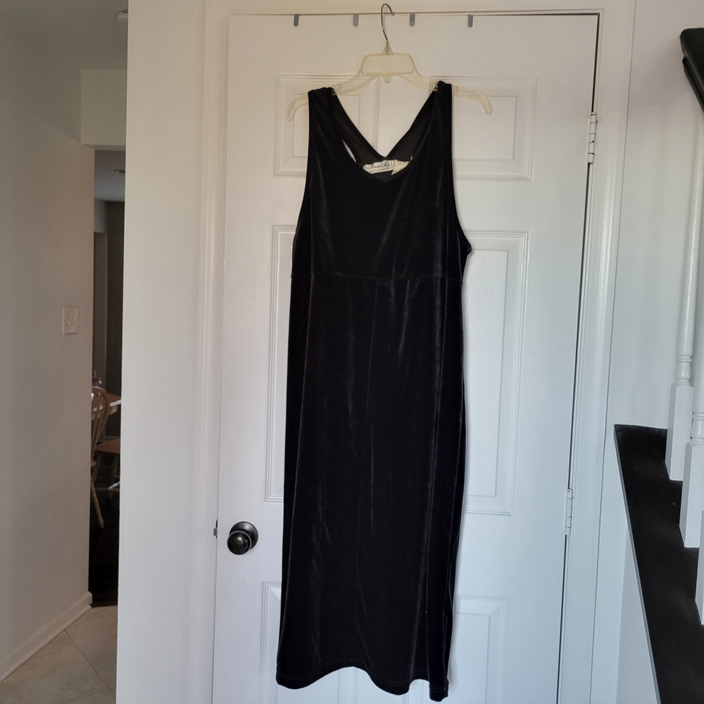 Vintage Velvet Dress Brand Is Private Party